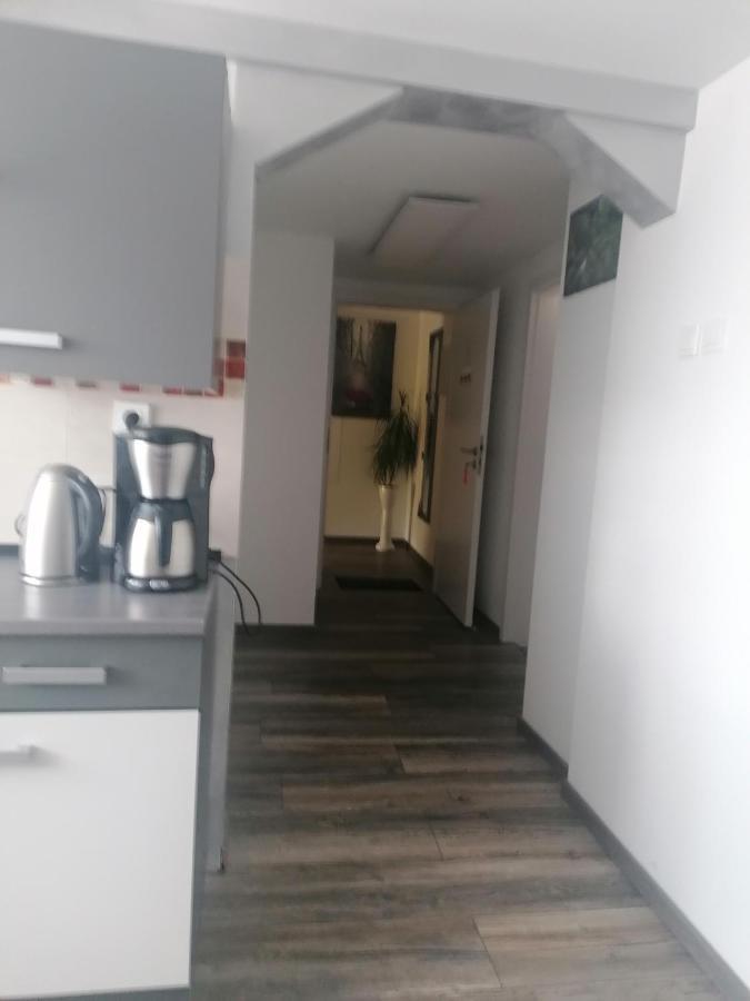 Ferienwohnung Andreea Saarlouis Luaran gambar